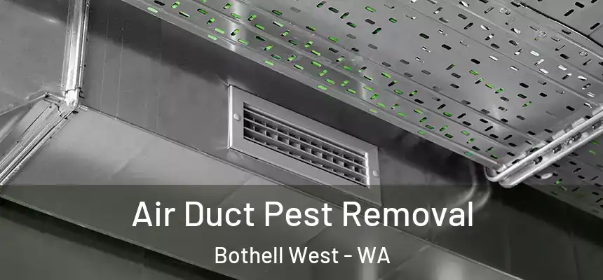 Air Duct Pest Removal Bothell West - WA