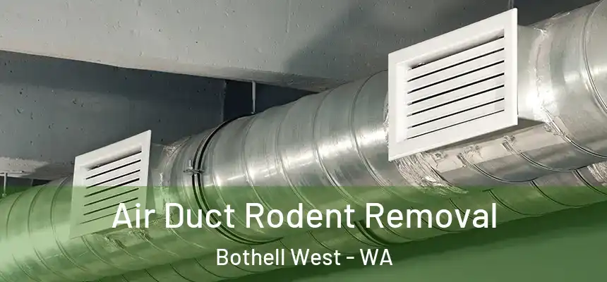 Air Duct Rodent Removal Bothell West - WA