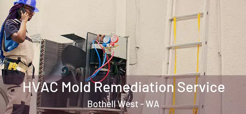  HVAC Mold Remediation Service Bothell West - WA