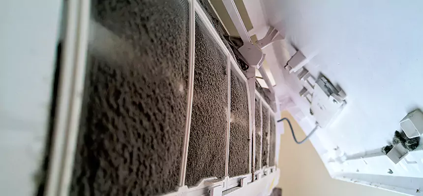 Preventive Air Duct Bacteria Removal in Bothell West