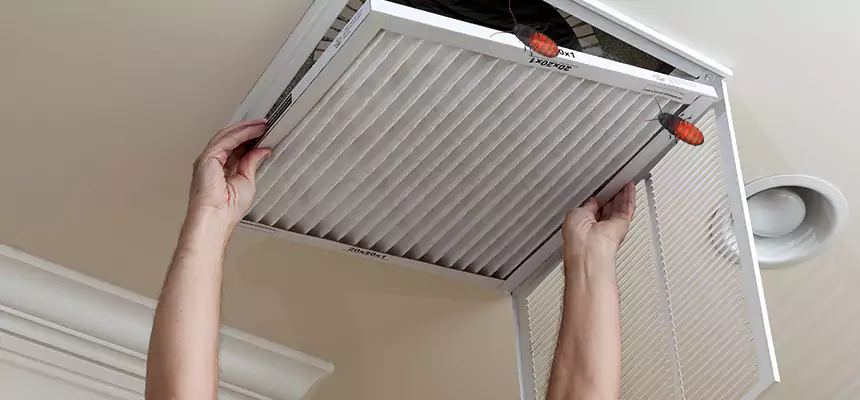 Preventive Cockroach-Proofing for Ducts in Bothell West