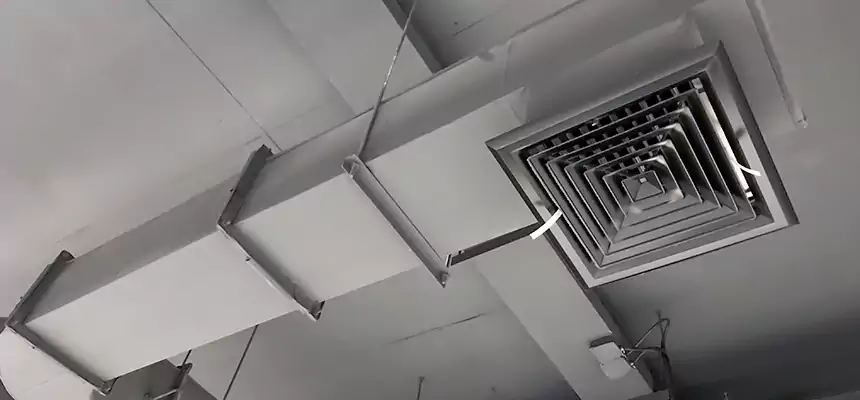 Our Pest Removal From Ducts Services in Bothell West, WA