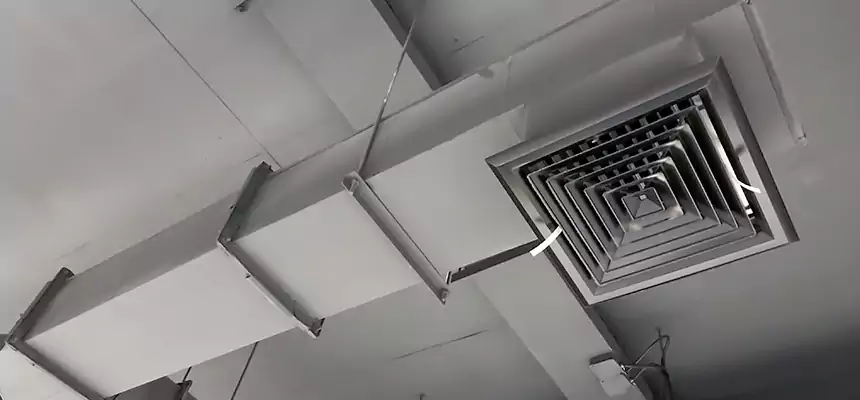 Our Rodent Droppings In Vents Services in Bothell West, WA