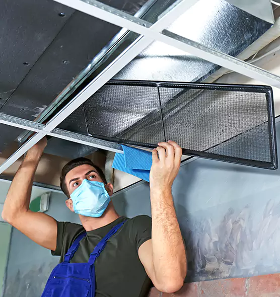 About Air Duct Bacteria Removal in Bothell West