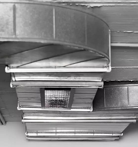 Professional Air Duct Pest Removal in Bothell West, WA