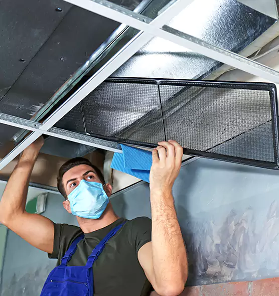 Professional Air Duct Pollen Cleaning in Bothell West, WA