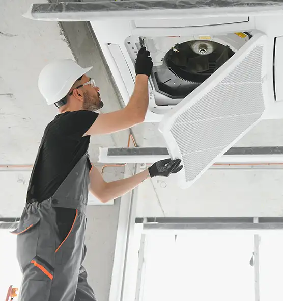 About Air Duct Rodent Removal in Bothell West, WA