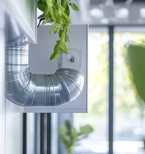 Professional Eco-Friendly Duct Cleaning Services in Bothell West, WA