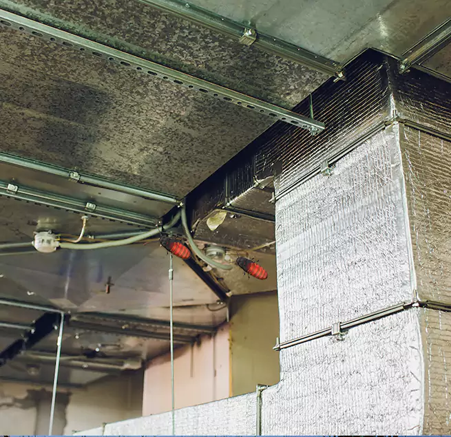 Why Homeowners & Businesses Trust Us in Bothell West, WA?