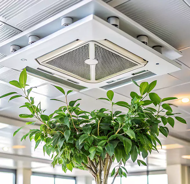 Why Homeowners & Businesses Trust Us in Bothell West, WA?