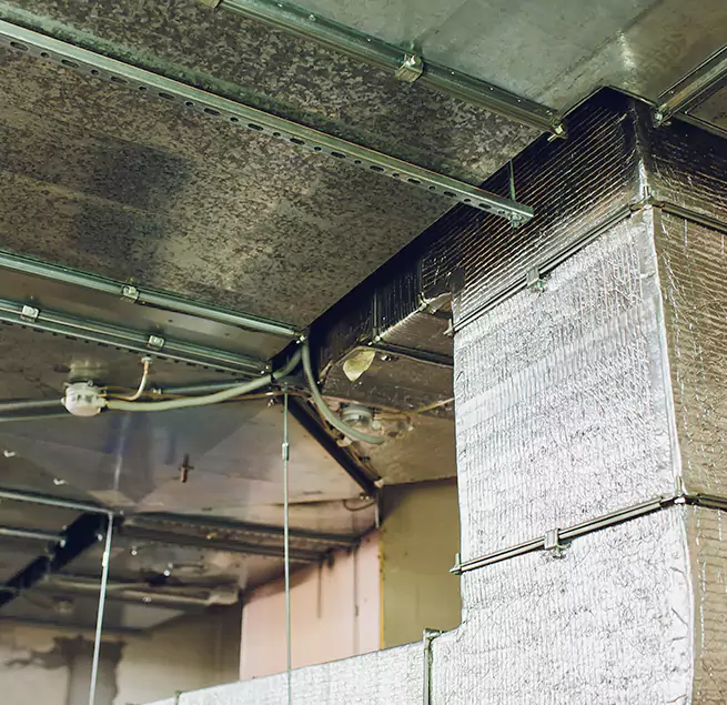 Why Homeowners & Businesses Trust Us in Bothell West, WA?